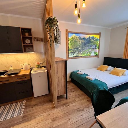 Widokowy Apartament - Pokoje Goscinne Banska Wyzna エクステリア 写真