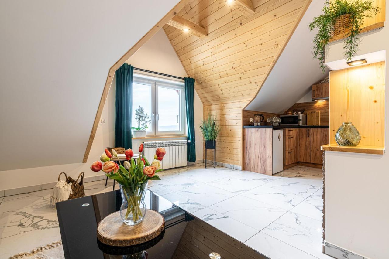 Widokowy Apartament - Pokoje Goscinne Banska Wyzna エクステリア 写真