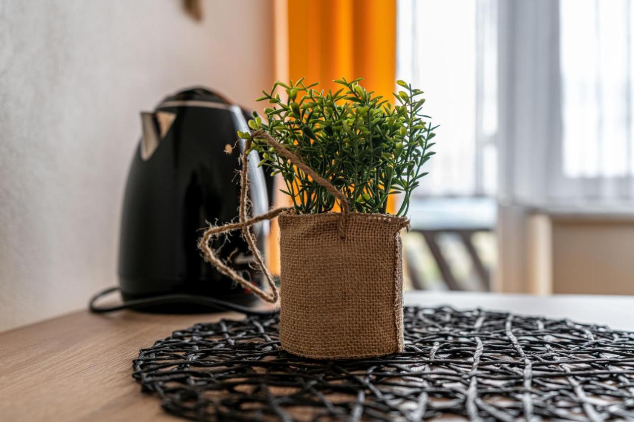 Widokowy Apartament - Pokoje Goscinne Banska Wyzna エクステリア 写真